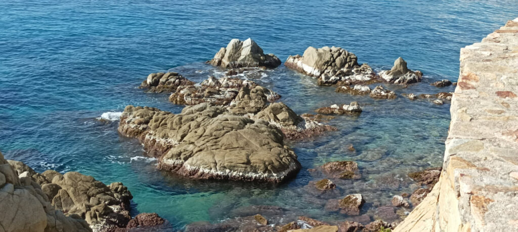 minves